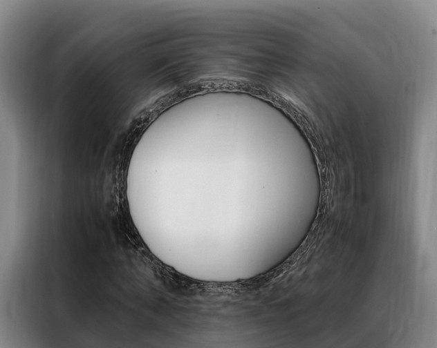 X0000088360870200705220731