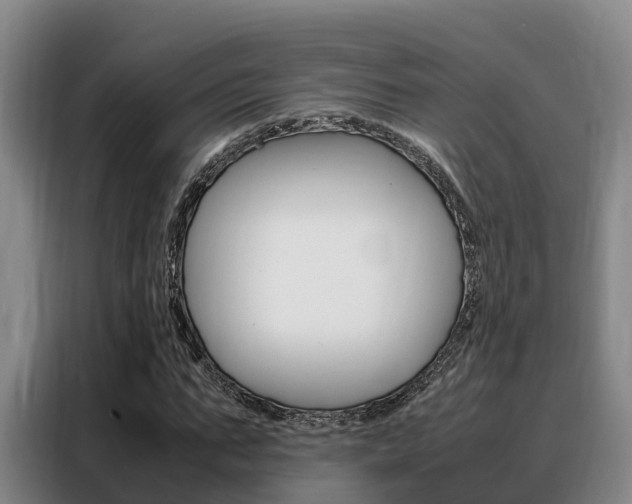 X0000088360871200705220731