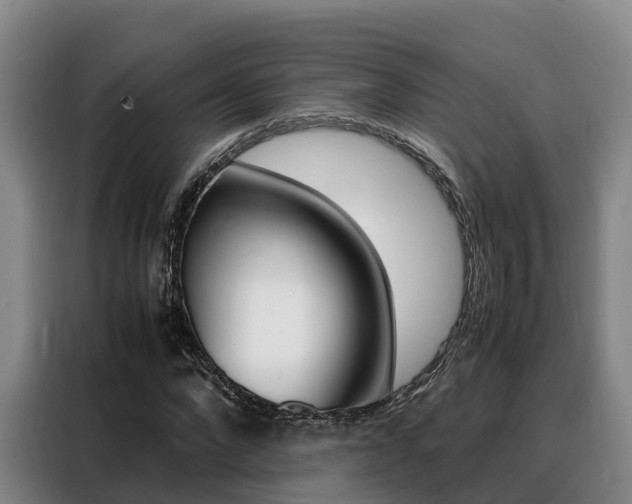 X0000088360872200705220731
