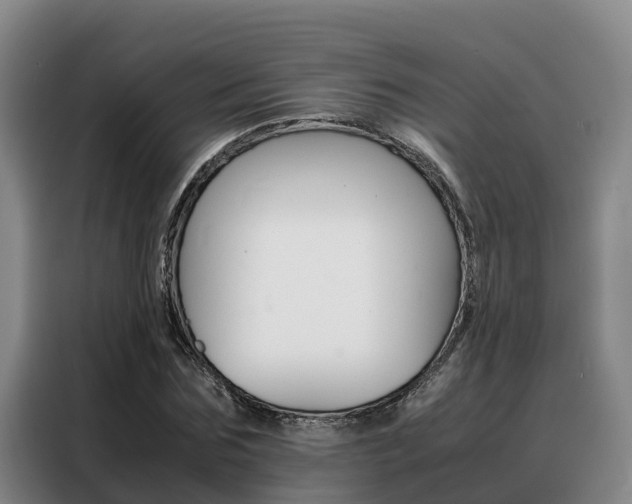 X0000088360875200705220731