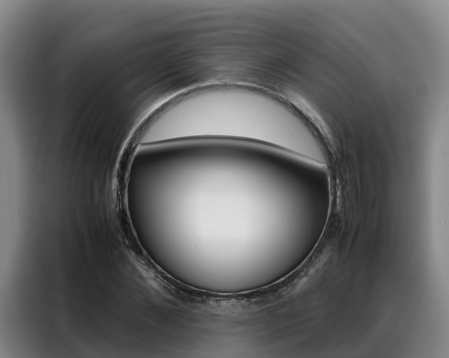X0000088360876200705220731