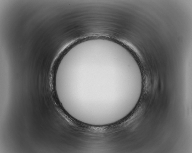 X0000088360878200705220731