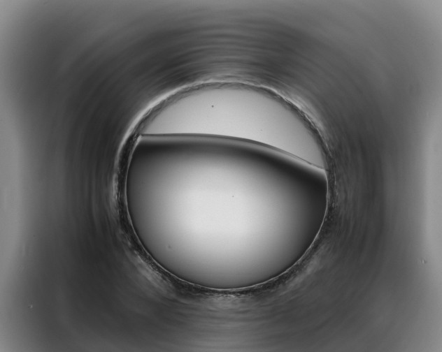 X0000088360880200705220731