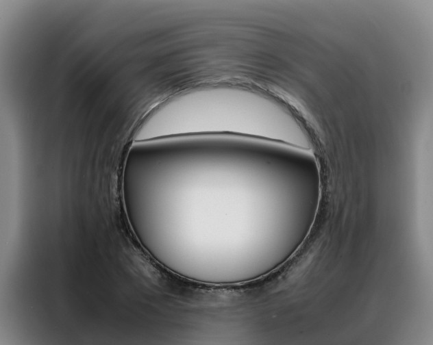 X0000088360881200705220731