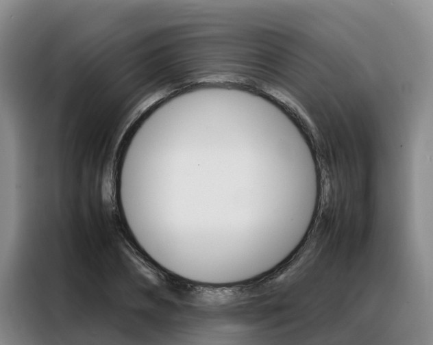 X0000088360882200705220731