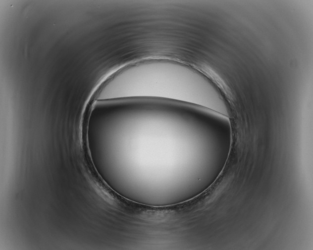 X0000088360884200705220731