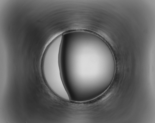X0000088360885200705220731