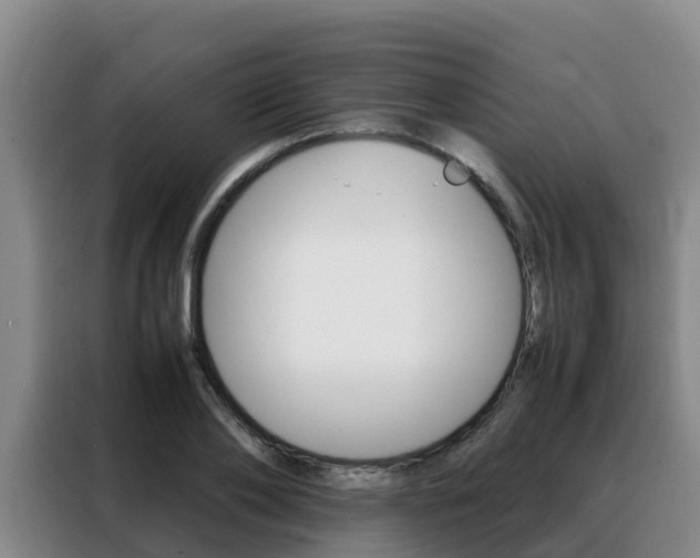 X0000088360886200705220731