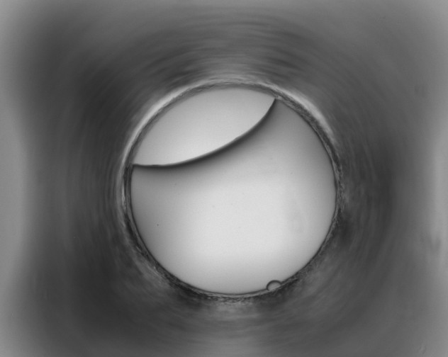 X0000088360887200705220731