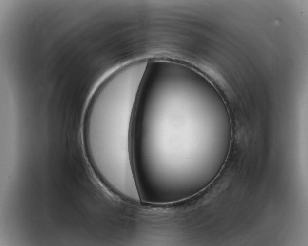 X0000088360888200705220731