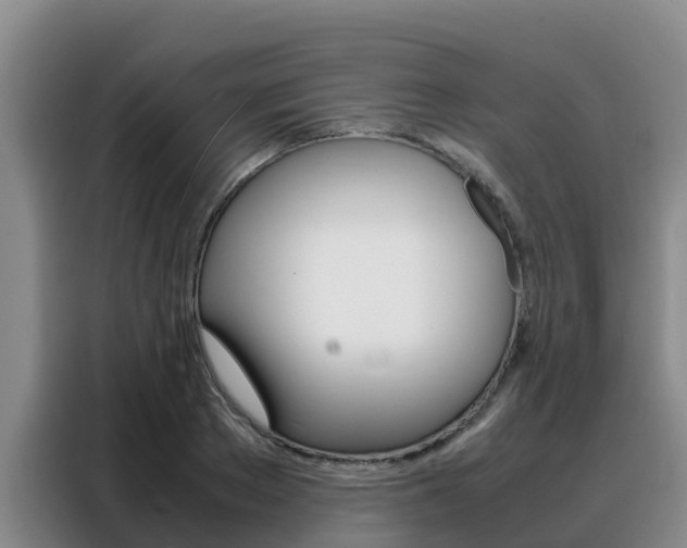 X0000088360889200705220731