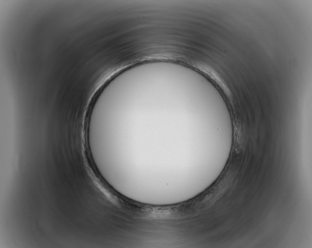 X0000088360890200705220730