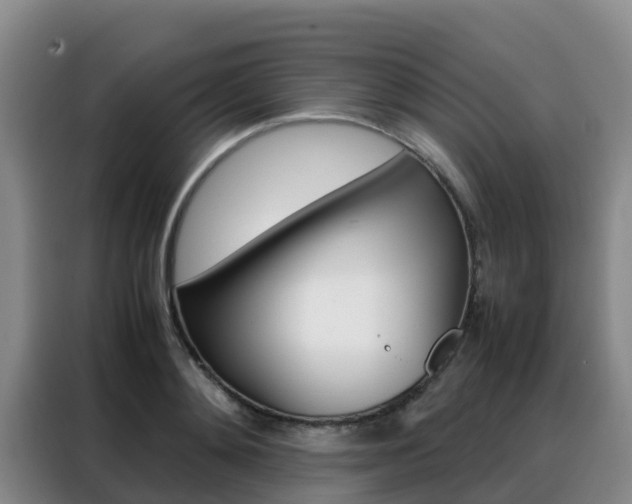 X0000088360892200705220730