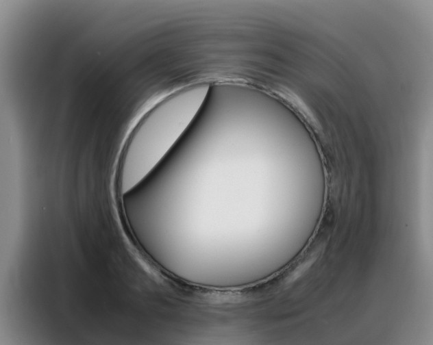 X0000088360893200705220730