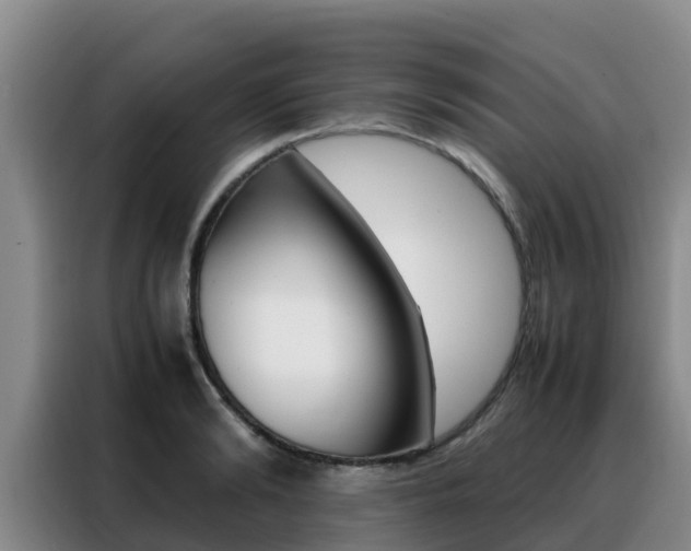 X0000088360894200705220730