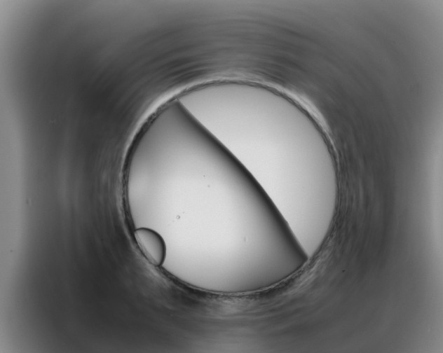 X0000088360895200705220730