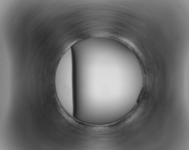 X0000088360897200705220730