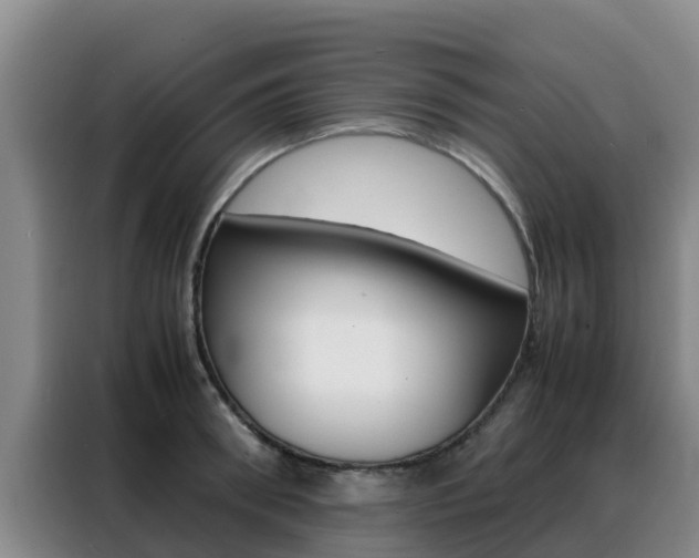 X0000088360898200705220730