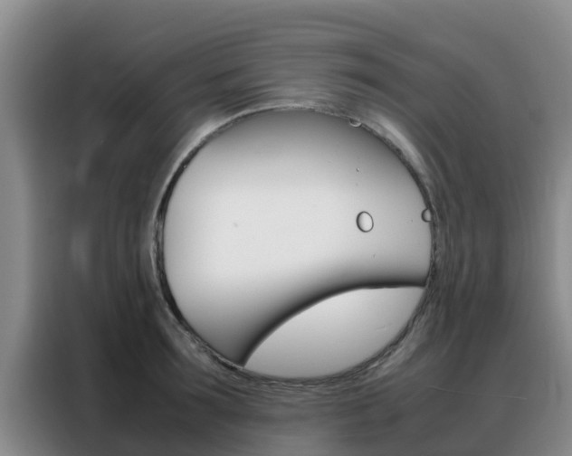 X0000088360899200705220730