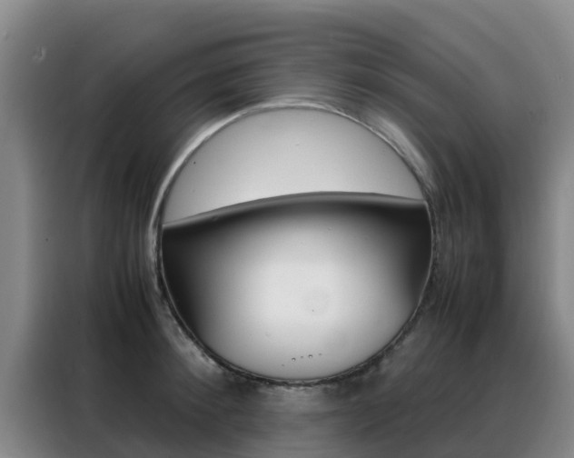 X0000088360900200705220730