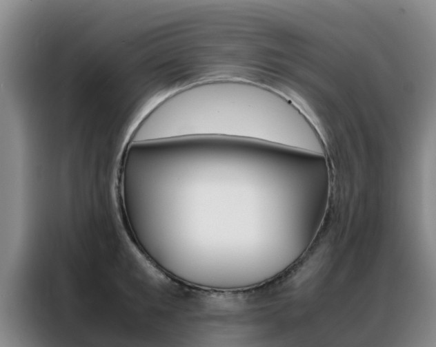 X0000088360901200705220730