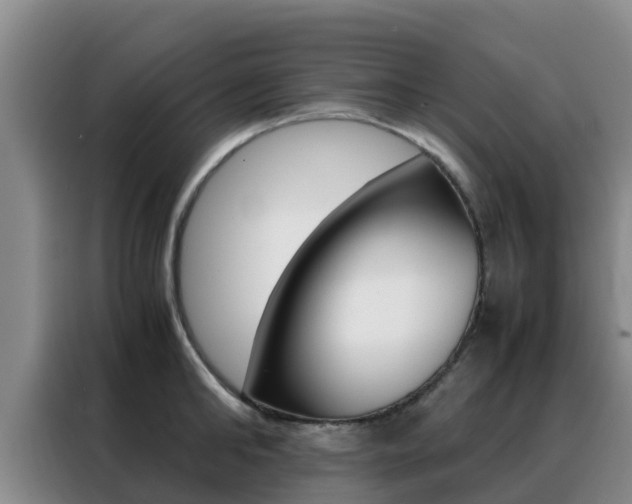 X0000088360902200705220730