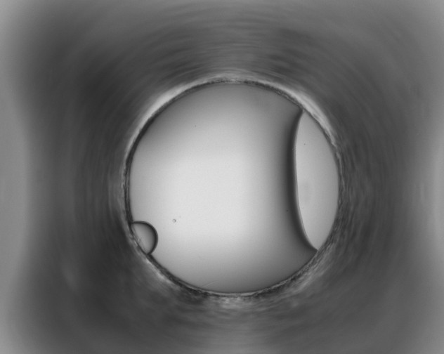 X0000088360903200705220730