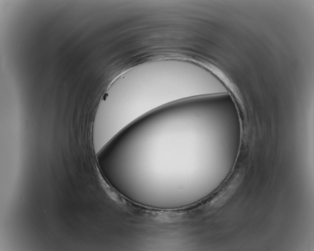 X0000088360905200705220730