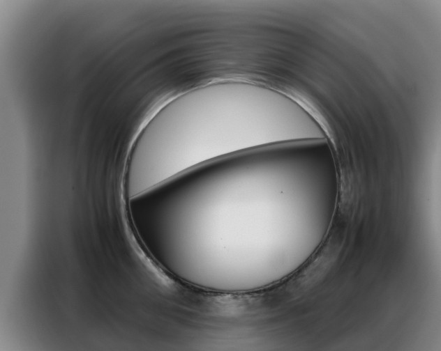 X0000088360906200705220730