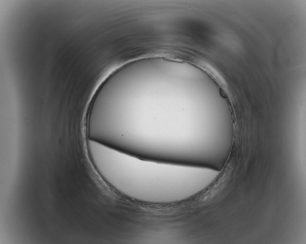 X0000088360907200705220730