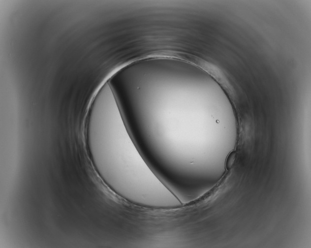 X0000088360908200705220730