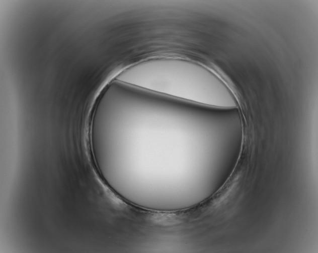X0000088360909200705220730