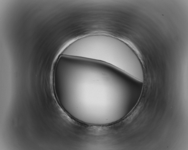 X0000088360910200705220730