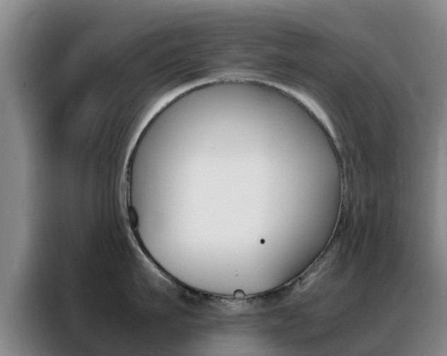 X0000088360911200705220730
