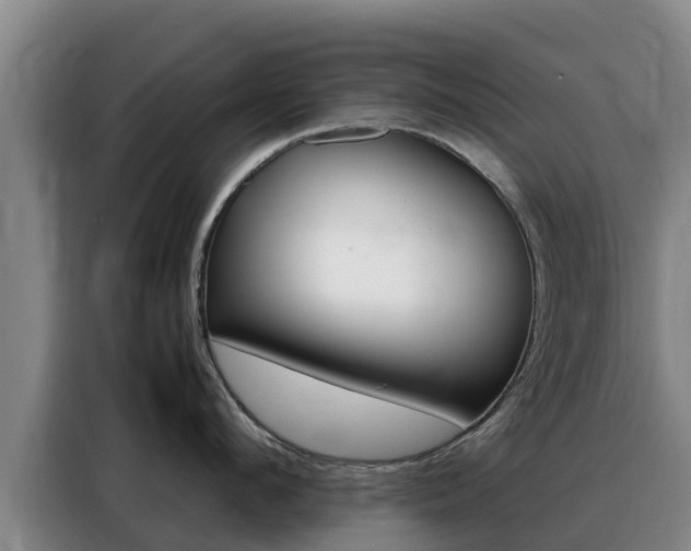 X0000088360912200705220730