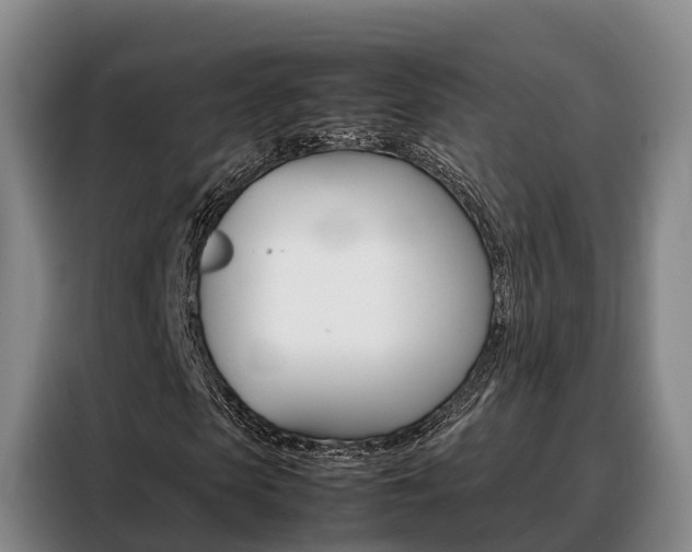 X0000088360913200705220730