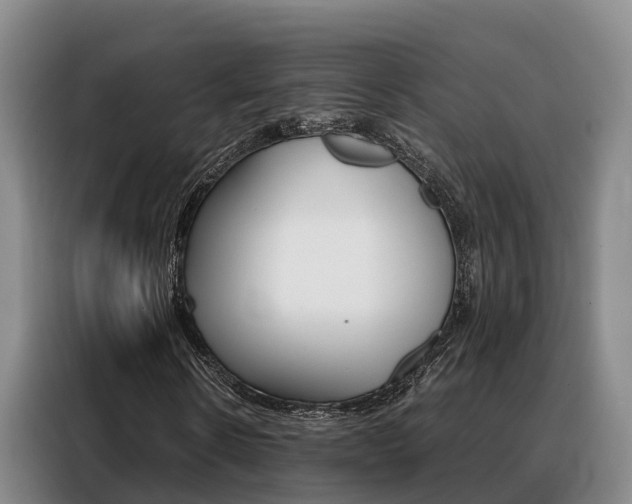 X0000088360914200705220730