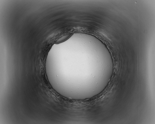 X0000088360917200705220730