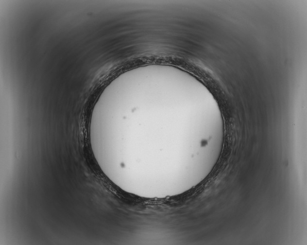 X0000088360918200705220730