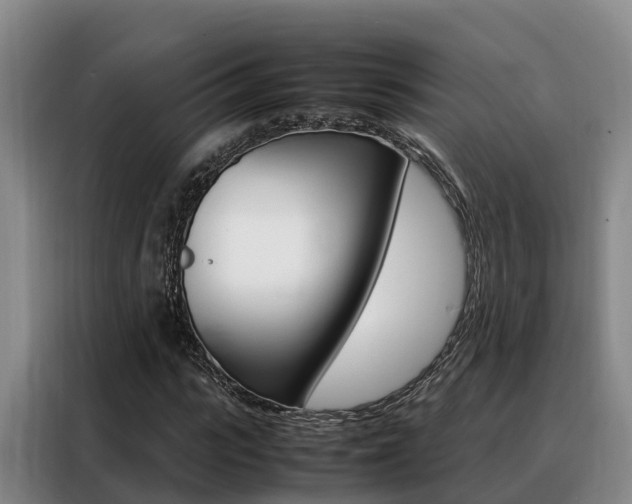 X0000088360919200705220730