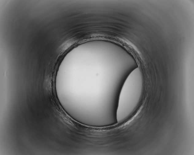 X0000088360921200705220730