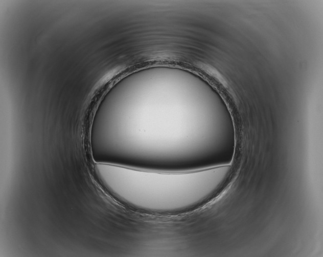 X0000088360922200705220730