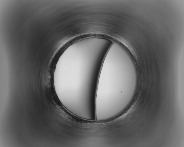 X0000088360926200705220730