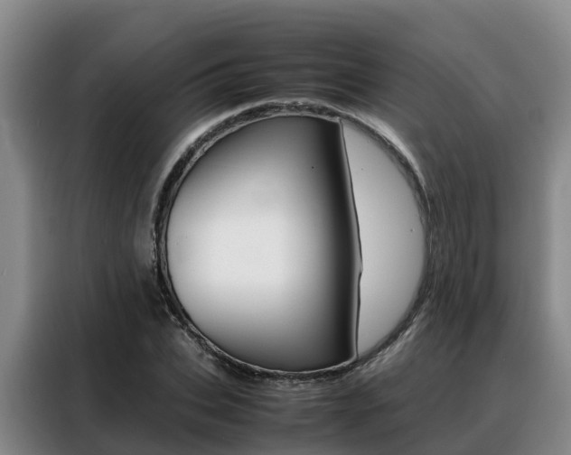 X0000088360927200705220730