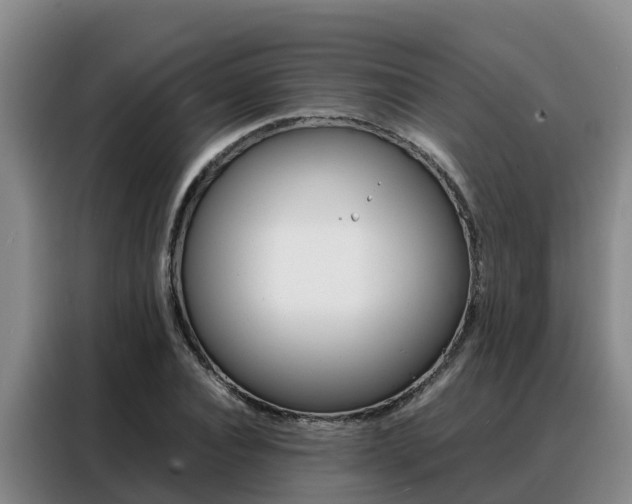 X0000088360928200705220730