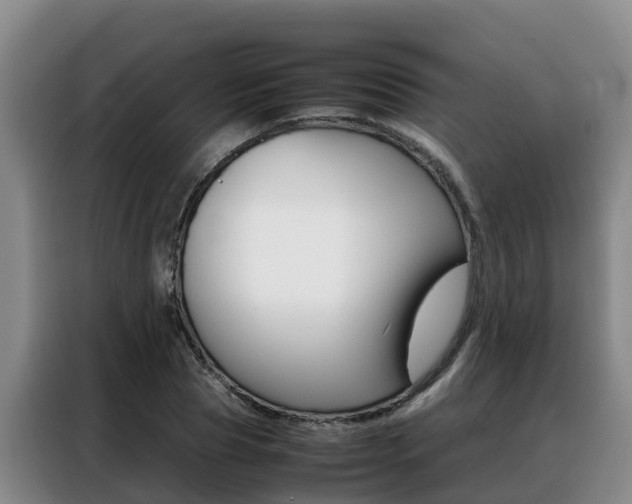 X0000088360929200705220730