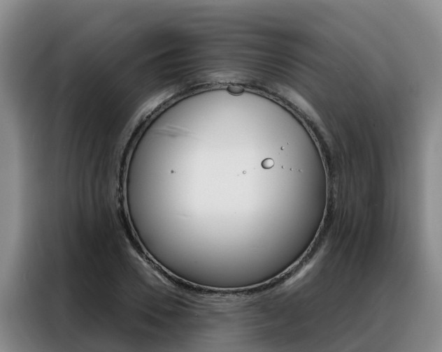 X0000088360930200705220730