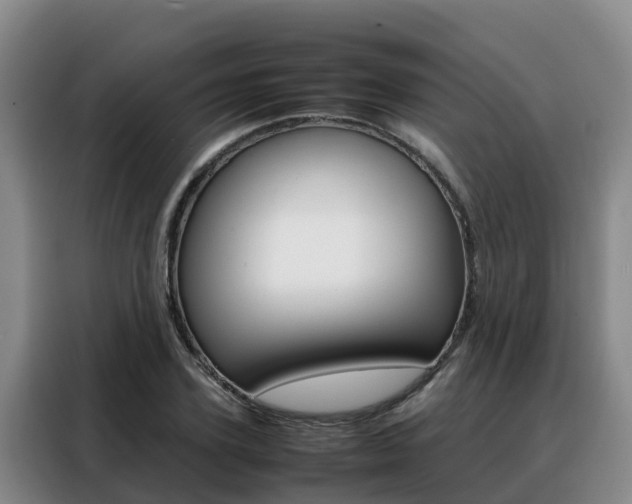 X0000088360931200705220730