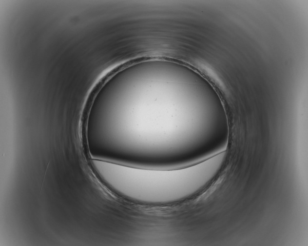 X0000088360932200705220730