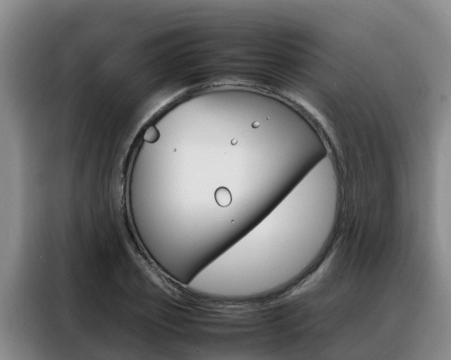 X0000088360933200705220730
